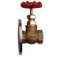 GM Gate Valve One Side Flange End (SANT)